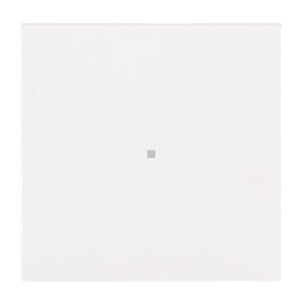 BJ Wippe 1-fach neutral      6230-10-44G 