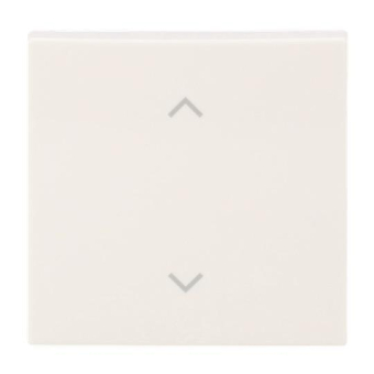 BJ Wippe 1-fach m.Symbol     6735-11-914 