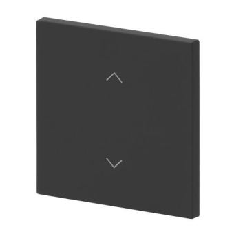 BJ Wippe 1-fach m.Symbol     6735-11-45M 