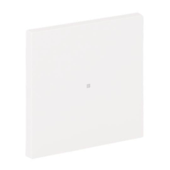 BJ Wippe 1-fach neutral      6230-10-44G 