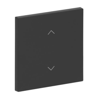 BJ Wippe 1-fach m.Symbol     6735-11-45M 