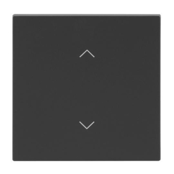 BJ Wippe 1-fach m.Symbol     6735-11-45M 