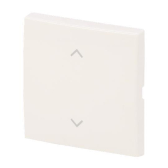BJ Wippe 1-fach m.Symbol     6735-11-914 