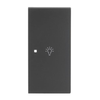 BJ Wippe 2-fach rechts       6231-22-45M 