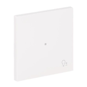 BJ Wippe 1-fach m.Symbol     6234-10-44G 