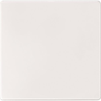 Merten Sensorfläche polarweiß     573819 
