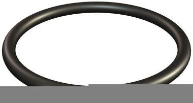 OBO 171 PG29 Dichtring O-Ring PG29 NBR 