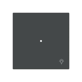 BJ Wippe 1-fach m.Symbol     6231-10-45M 