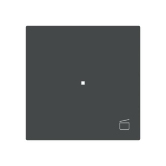 BJ Wippe 1-fach m.Symbol     6233-10-45M 
