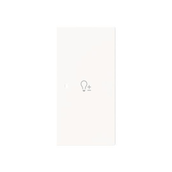 BJ Wippe 2-fach rechts       6234-22-44G 