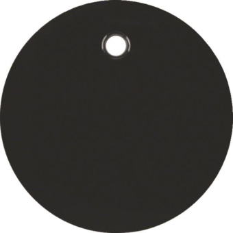 Berker Zentralstück f.          11462045 