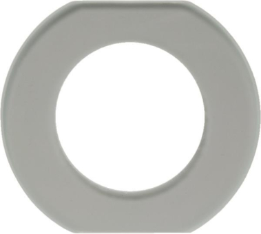 Berker Glasmittelrahmen Glasserie 109300 