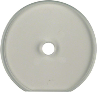 Berker Serie Glas Endplatte       109430 
