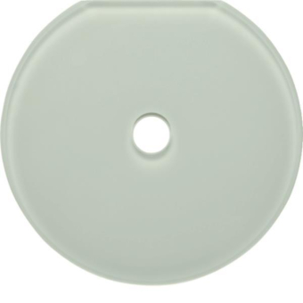 Berker Glasabdeckendplatte        109409 