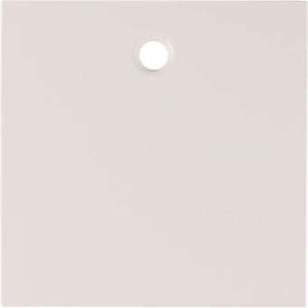 BER S1 Zentralstück für         11468989 