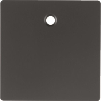 Berker Zentralstück             11466086 