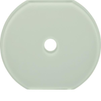 Berker Glasabdeckmittelplatte     109509 