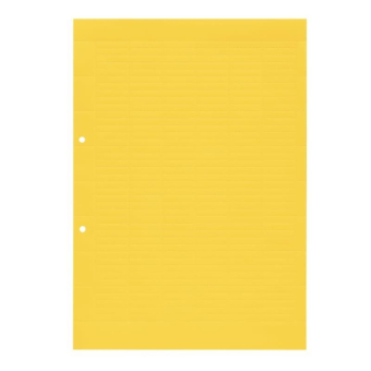 Weidmüller ESO 7 DIN A4 GE Klemmen- 