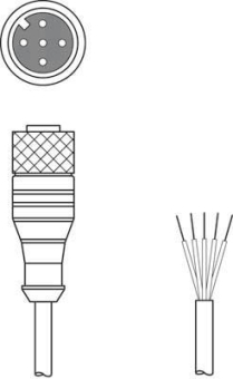 Leuze Anschlussltg.   KD S-M12-5A-P1-250 
