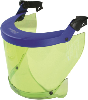 DEHN                        APS T CL2 SC 