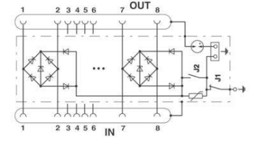 Phoenix D-LAN-19Z-24        D-LAN-19"-24 