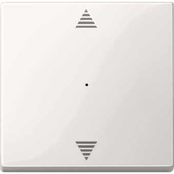Merten Wippe f.Tastermodul 1fach  619419 