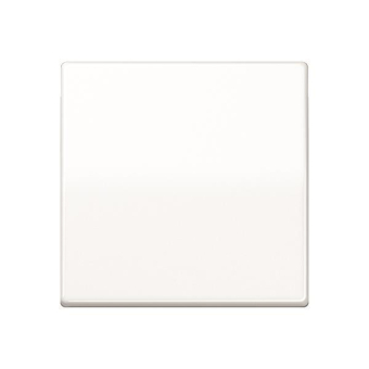 JG Wippe für Schalter m.   AS 591 BFS WW 