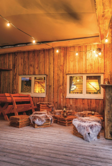 Bachmann Lichterkette 10m        740.005 