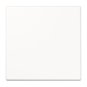 Jung Steuertaste Std.           LS1700WW 