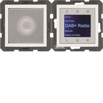 Berker Radio Touch              29808989 