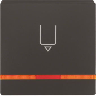Berker Hotelcard-Schaltaufsatz  16406086 