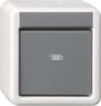 GIRA 515230 Taster-BA 1fach Kontroll- 