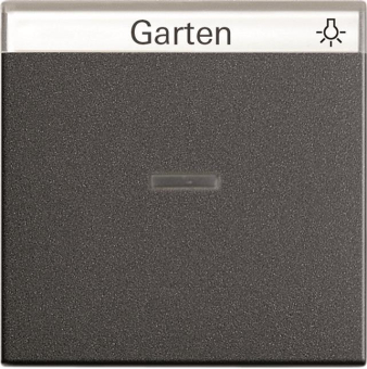 GIRA 067028 Wippe Kontrollfenster+BSF 