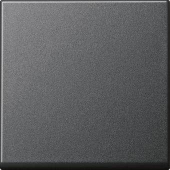 GIRA 091628 Wippe Tastschalter System 55 