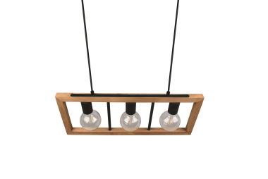 Trio Pendelleuchte AGRA 3x E27 313800332 