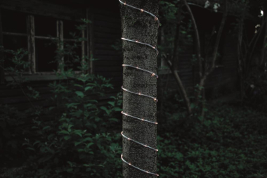 LED Mini-Lichterschlauch Außen  3774-100 