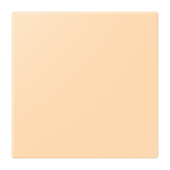 Jung Notrufsystem     NRS LC 0834 NT 223 