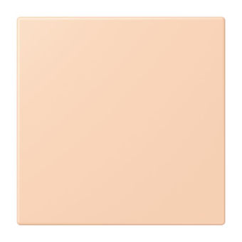 Jung Notrufsystem    NRS LC 0834 USV 234 