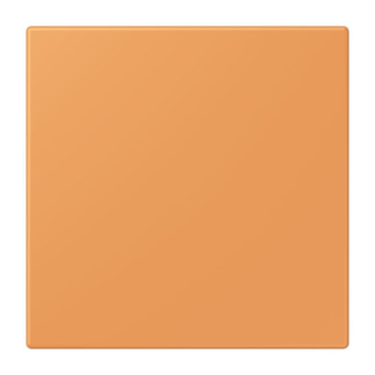 Jung Notrufsystem    NRS LC 0834 USV 225 