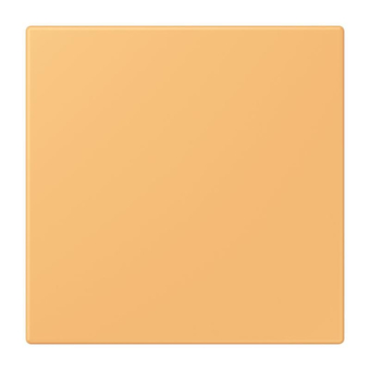 Jung Notrufsystem    NRS LC 0834 USV 254 