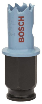 Bosch Lochsäge Special Sheet  2608584778 