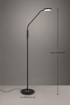 Trio LED-Touch-SL MONZA, 12W   423310132 