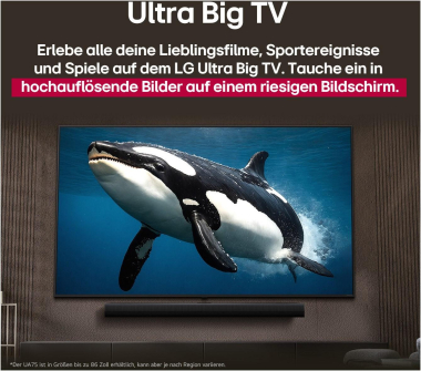 LG 55NANO81A6A sw NanoCell LED-TV 