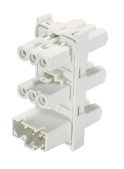 Wieland Verteiler     GST15I3V 5P1H W WS 