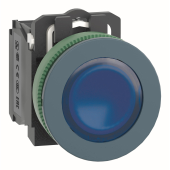 Schneider Leuchtdrucktaster    XB5FW36G5 