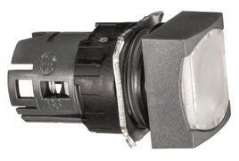 GS Leuchtdrucktaste WS            ZB6CW1 