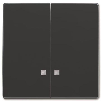 BJ Wippe anthrazit future      1785 K-81 