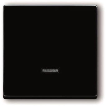BJ solo Dimmer-Tastfläche    6543-81-101 