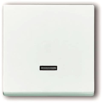 BJ carat Dimmer-Tastfläche   6543-84-101 