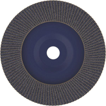 Bosch Fächerschleifscheibe    2608607344 